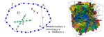Discontinuous boundary elements for steady-state fluid flow problems in discrete fracture networks